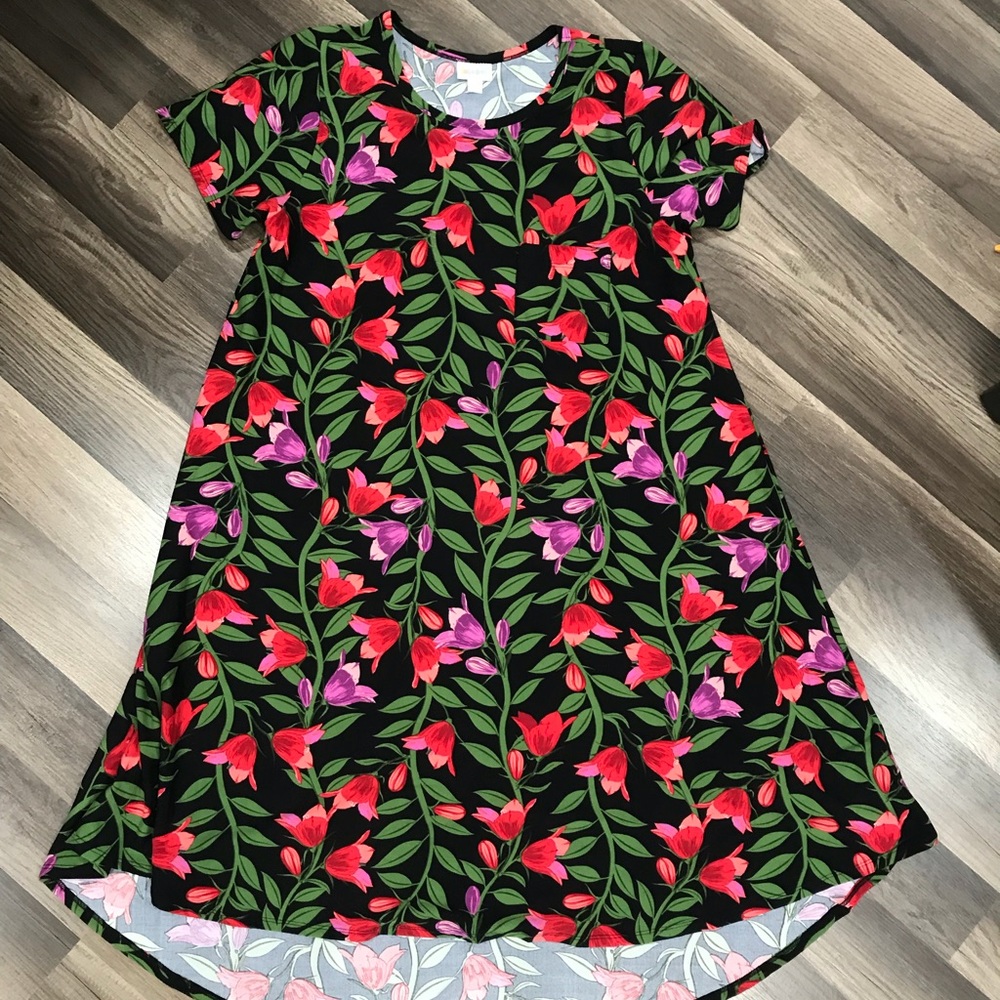 LuLaRoe Carly Dress